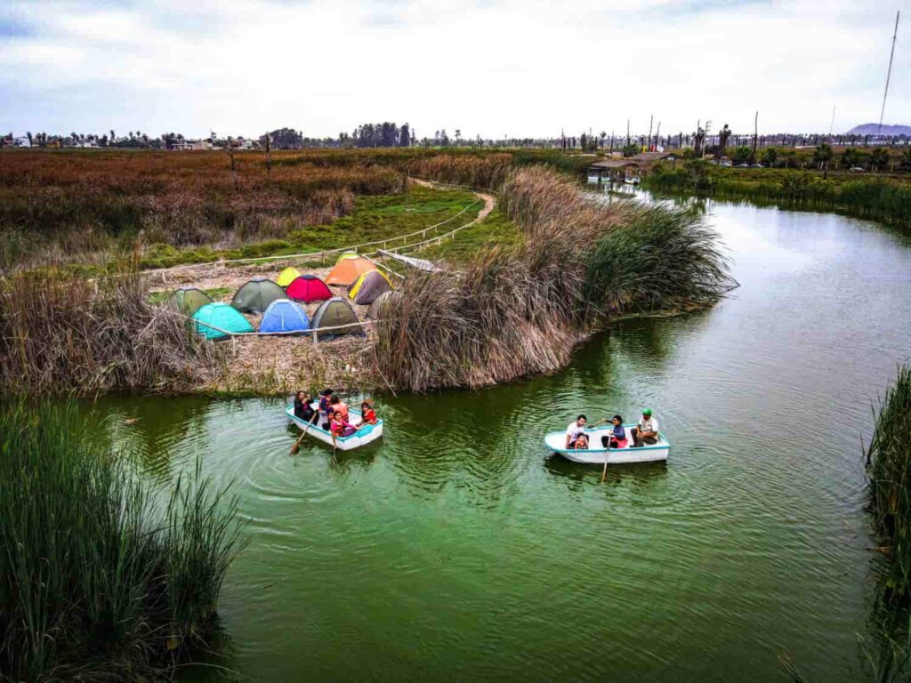 Análisis crítico de las actividades humanas en los humedales: el caso de Los Pantanos de Villa y una mirada comparada entre Perú y Chile